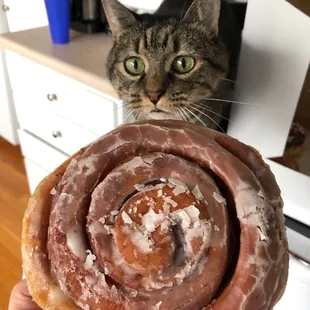 Giant cinnamon roll