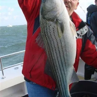 Jeffrey E.