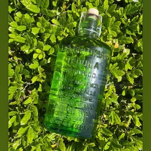 a green bottle of gin