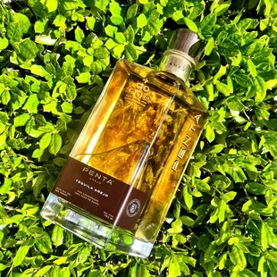 a bottle of wine in the grass