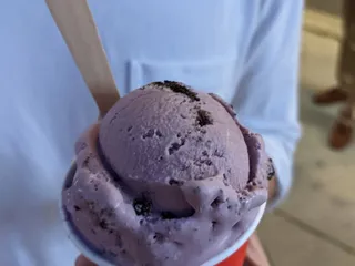 Gracie's Ice Cream