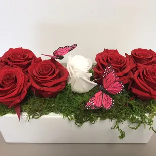 PRESERVED ROSES that last a year !