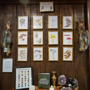 Red River Gorge Earth Shop