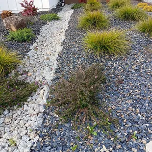 Black slate chips &amp; Mulch