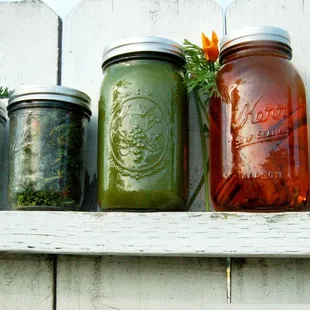 Earthly Juices Green Warrior Cleanse: https://www.earthlyjuicecart.com/2-day-green-warrior-cleanse/