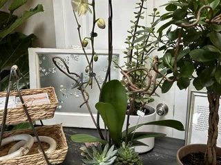 Garden District Super Foods