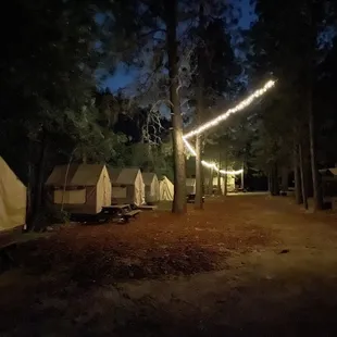 Tents, tents, and more tents.