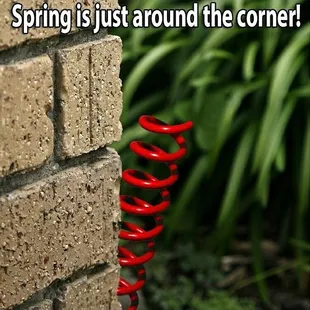 Time to prep those cars for Spring! Give us a call today for all your Mechanical &amp; Body repair needs! (918) 341-3170