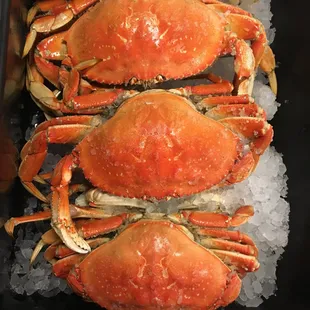 three crabs on a bed of ice