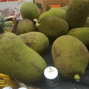 Jack Fruit....how do these stay on the  tree...theyre about 40 pounds!