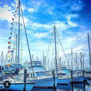 Bay Pointe Marina