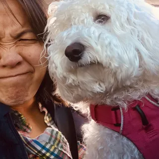 Chinh N.
