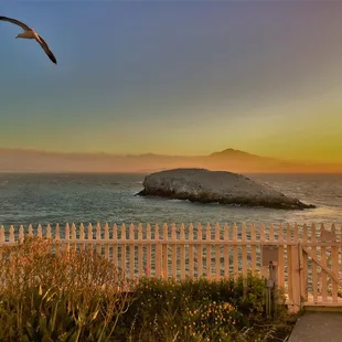 Beautiful Sunset views