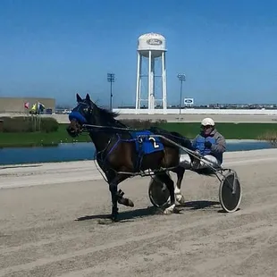 a horse and buggy being driven by a man