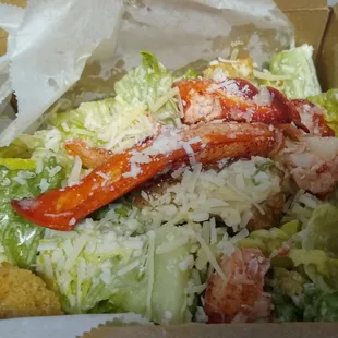 Lobster Caesar Salad