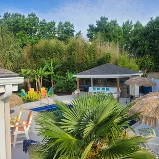 Enjoy my Costa Rica in Virginia Beach with all my beautiful palm trees