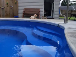 East Coast Leisure