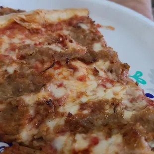 two slices of pizza on a plate
