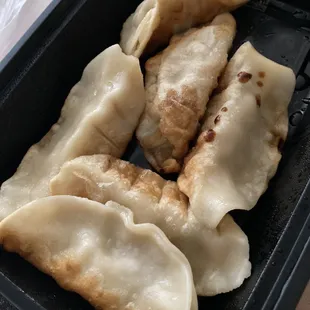 Pan fried dumplings
