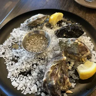 Oysters