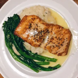 Salmon