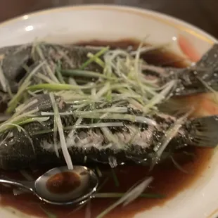Fish