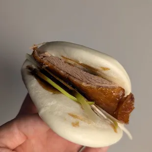Peking duck with bun