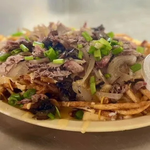 Loaded cheese fries with pulled pork