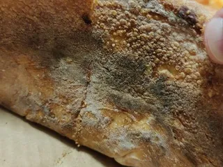 Lombardo’s Pizzeria