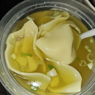 Wonton Soup