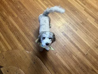 Rogers House Bed and Breakfast