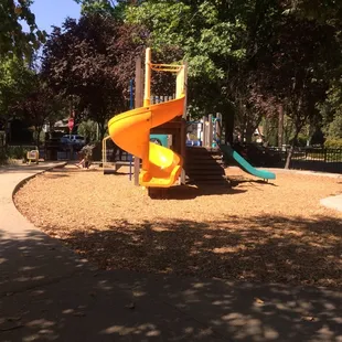 Another sunny day in Sacramento!