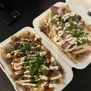 Pulled pork fries and Tri-tip aioli fries
