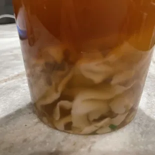 Old, Disintegrating Wontons