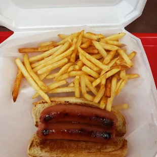 Hotdog and fries