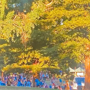 Pops in the Park