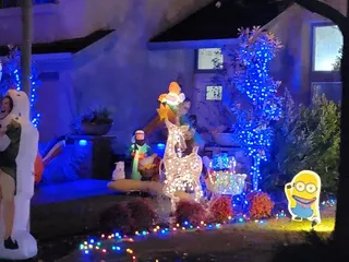 Dovewood Court Christmas Lights