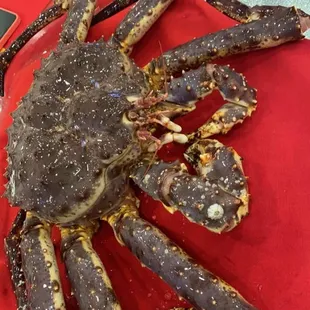 Alaskan King Crab