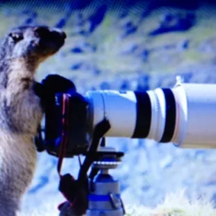 Look! Is this our friend Juanelo taking pics?