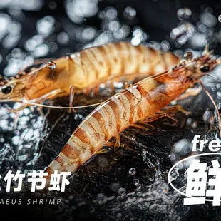 two shrimps in the water