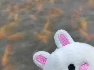 Hoomaluhia Botanical Garden