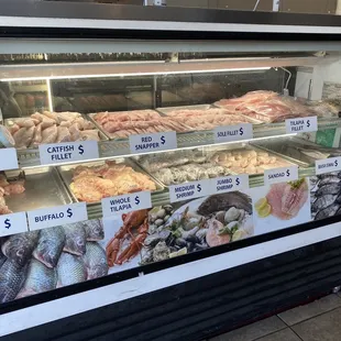 a variety of fish for sale