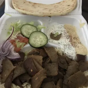 Gyro Plate