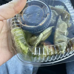 vegetable gyoza