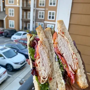 Brie Bird: House-Roasted Turkey, Brie Spread, Pepper Jelly, Mixed Greens, Tomato, and Pickled Red Onion