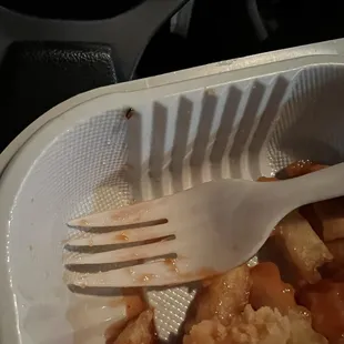 Found a bug in the bottom of my fries and spit out the remaining I was chewing I was so disgusted.