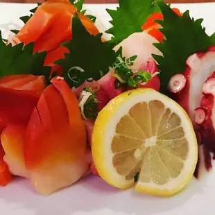 Sashimi Regular