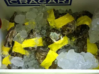 Pescadia Eastern
