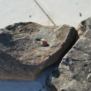 Leaving some long qt awareness rocks behind #rocksforryan