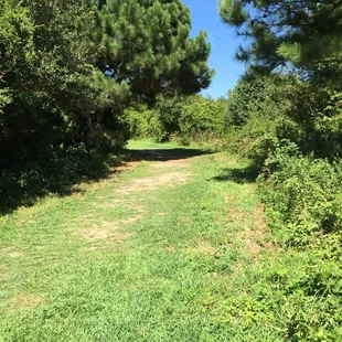 Path from visitors center